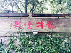 -龙井壹号·茶缘山景宴(龙井村店)