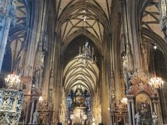 -斯蒂芬主教座堂(Stephansdom)