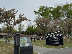 -府河摄影公园