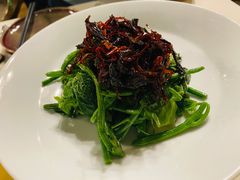 昭通椒丝油鸡枞麦瓜尖-泓0871臻选云南菜·味庄