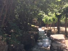 -十渡东湖港风景区