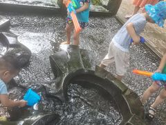 -成都市活水公园