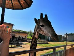 -鄂尔多斯野生动物园