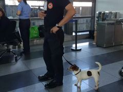 -尼诺伊·阿基诺国际机场T3航站楼