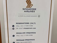 -新加坡航空公司(ION)