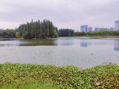 -艾溪湖湿地公园
