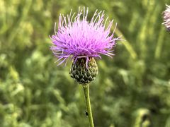 -敕勒川草原文化旅游区