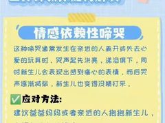 -大班家政月嫂育儿嫂(总部店)