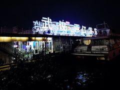 -武汉两江游览·夜游长江(汉口粤汉码头)
