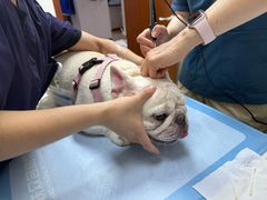 -美联众合动物医院·24h转诊中心