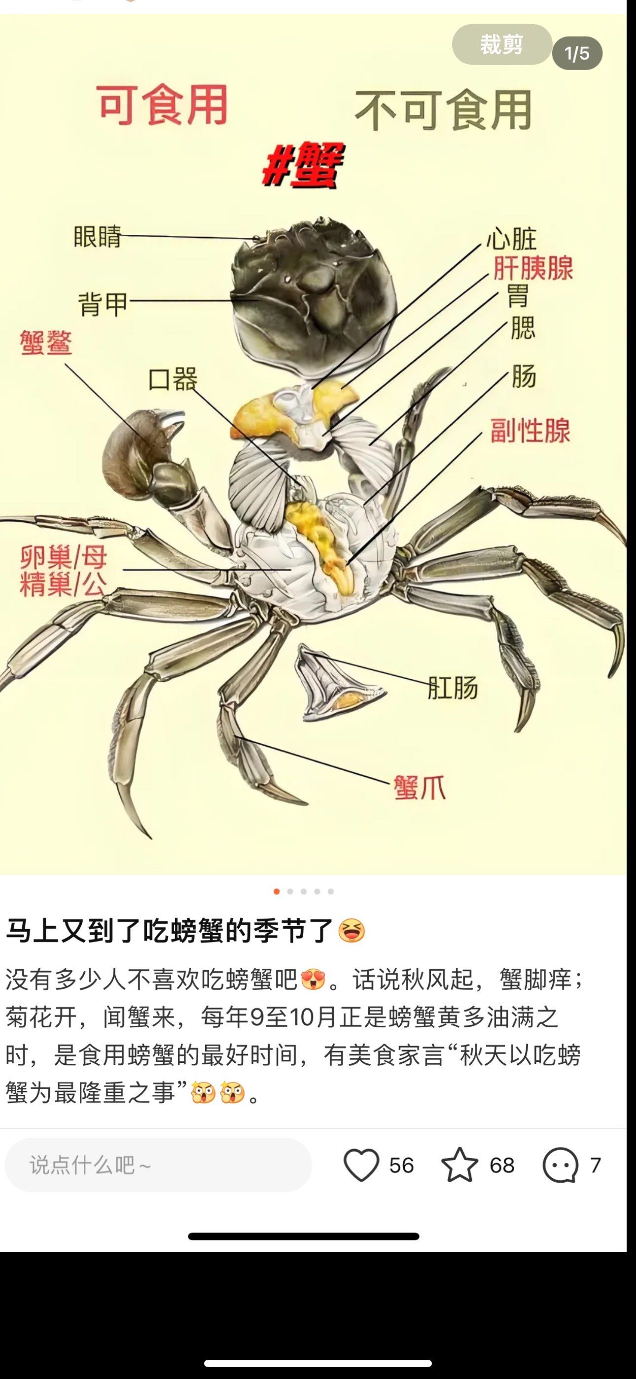 有些部位吃了会对身体有害,发出一张螃蟹的结构图,希望会帮到大家