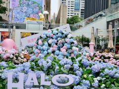 -HALO广场(梨园路店)