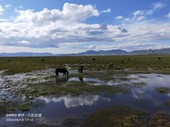 -花湖生态旅游区