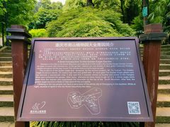 -大金鹰园