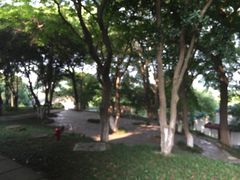 华东疗养院-上海市保健医疗中心(华东疗养院)