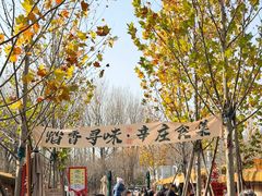 -辛庄国际文化艺术区