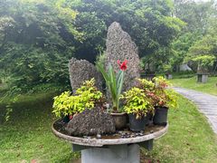 -杭州植物园