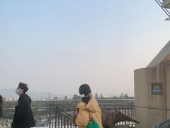 -客天下恐龙水晶玻璃桥