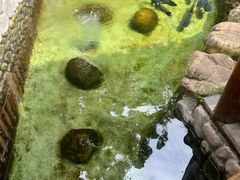 -耕渔小院·湖南鱼鲜(望城店)