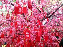 许愿树-万达广场(龙湾店)