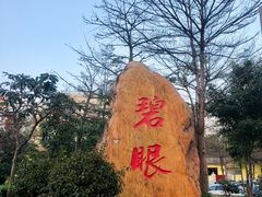 -新湖烧鸡(光明店)