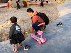 -铁山坪森林公园