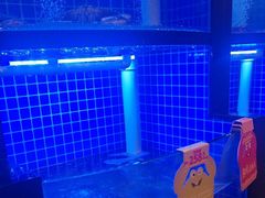 -七欣天香辣蟹火锅(闵行浦江欢乐颂店)
