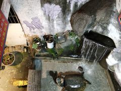 -汴河街