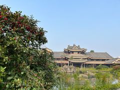 -大佛禅院