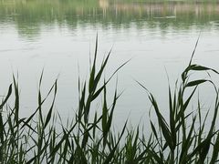 -黄河三峡风景名胜区