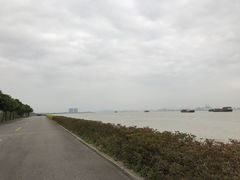 -海鸥岛