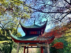 -岳麓山风景名胜区