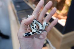 -Moni星球萌宠·小马宝莉·灵蛇·高端高阶全萌宠互动体验俱乐部(红豆国际广场店)