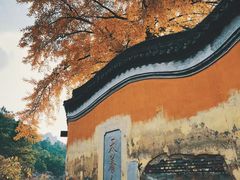 -灵岩山风景区