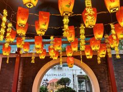 -华膳楼·臻味·安徽地标美食(药都路店)