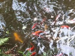 -莲生母婴月子中心(清水河公园店)