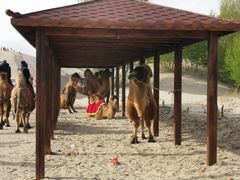 -库伦旗银沙湾旅游景区