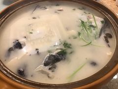 -老淳安—伴山伴湖(千岛湖开元度假村店)
