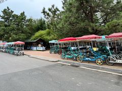 -日照海滨国家森林公园