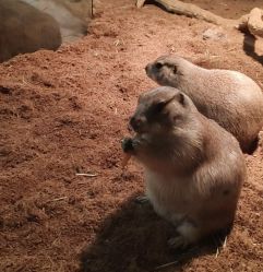 -Zoolung Zoolung动物主题公园(海信广场店)