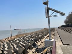 -上海滨江森林公园