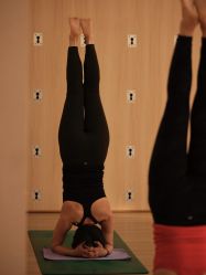 -酉嘉瑜伽YO+YOGA