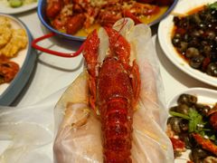 -杨氏青龙虾·羊蝎子(托乐嘉店)