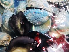 -徐记海鲜(大明宫|北二环店)