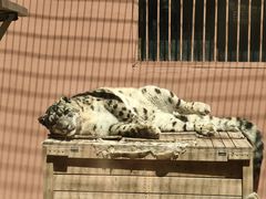 -青藏高原野生动物园