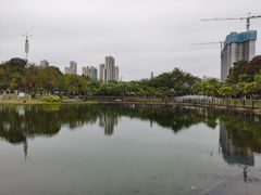 -映月湖公园