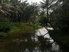 -白沙门生态公园