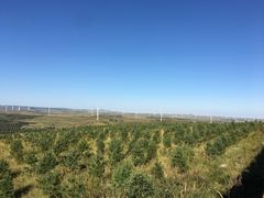 -草原天路(张北县)