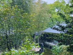 -南山植物园