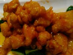-魔石泡泡鱼(当涂店)